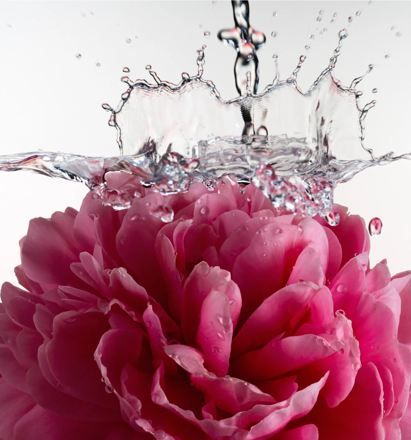 Glossy Shave Oil - Image 3