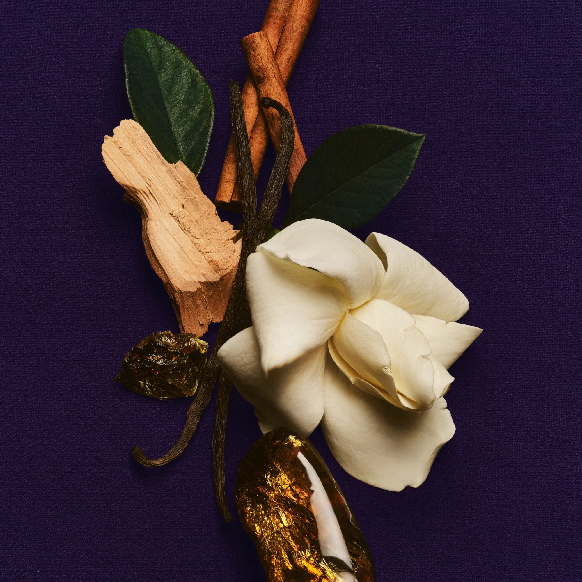 Skin Perfecting Body Lotion. - Image 3
