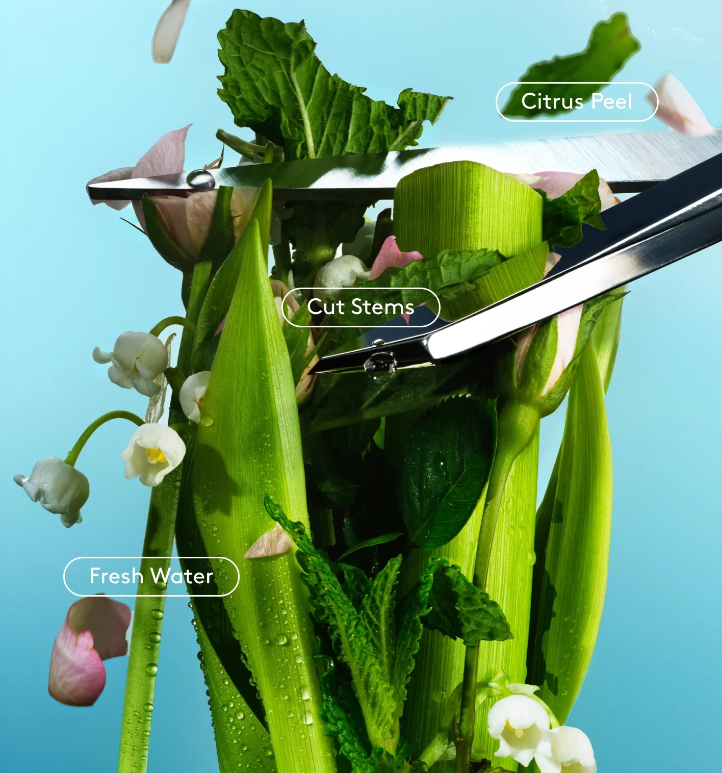 Daily Refresh Set - Image 4